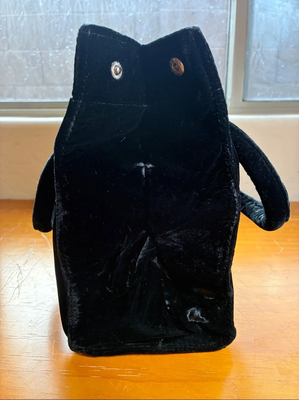 Tweety Bird Warner Bros. Purse with a faux velvet exterior. Interior pocket.